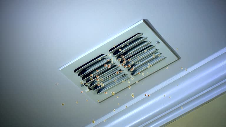 Best Affordable Air Duct Cleaning  in Sault Ste Marie, MI
